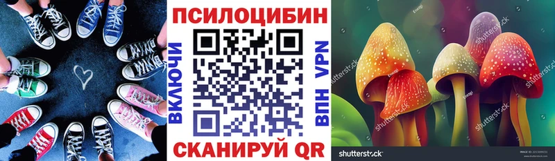 Купить где  Астрахань  Псилоцибиновые грибы Cubensis 