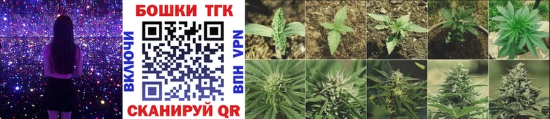 Купить  Астрахань  Канабис конопля 